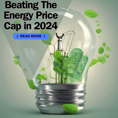 Lightbulb and renewable products with the text 'Beating the energy price cap 2024'