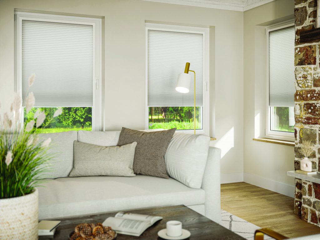pleated blinds in an extension 